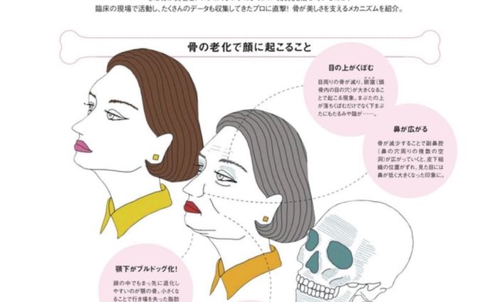 ELLE見てね！
骨美容💀ページです。
老化は骨からも起こるそうですよ！
こわいー

表紙はBE FIRSTさんバージョンも！
私の推しは、社長かな？笑

#elle #ellejapon #ellejapan #fashionillustrationtutorial 
#beautytutorial #yogaillustration  #エル #雑誌 #ヨガ #ピラティス #ビューティー #エクササイズ #骨格 #頭蓋骨 #スカル #サプリメント #アンチエイジング #モード #ファッションイラストレーション #アートグラム #アートギャラリー #cosmeticellie