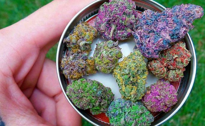 High-Grade Marijuana