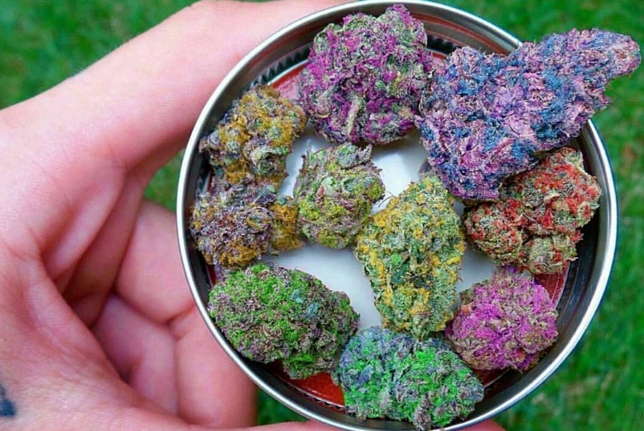 High-Grade Marijuana-1