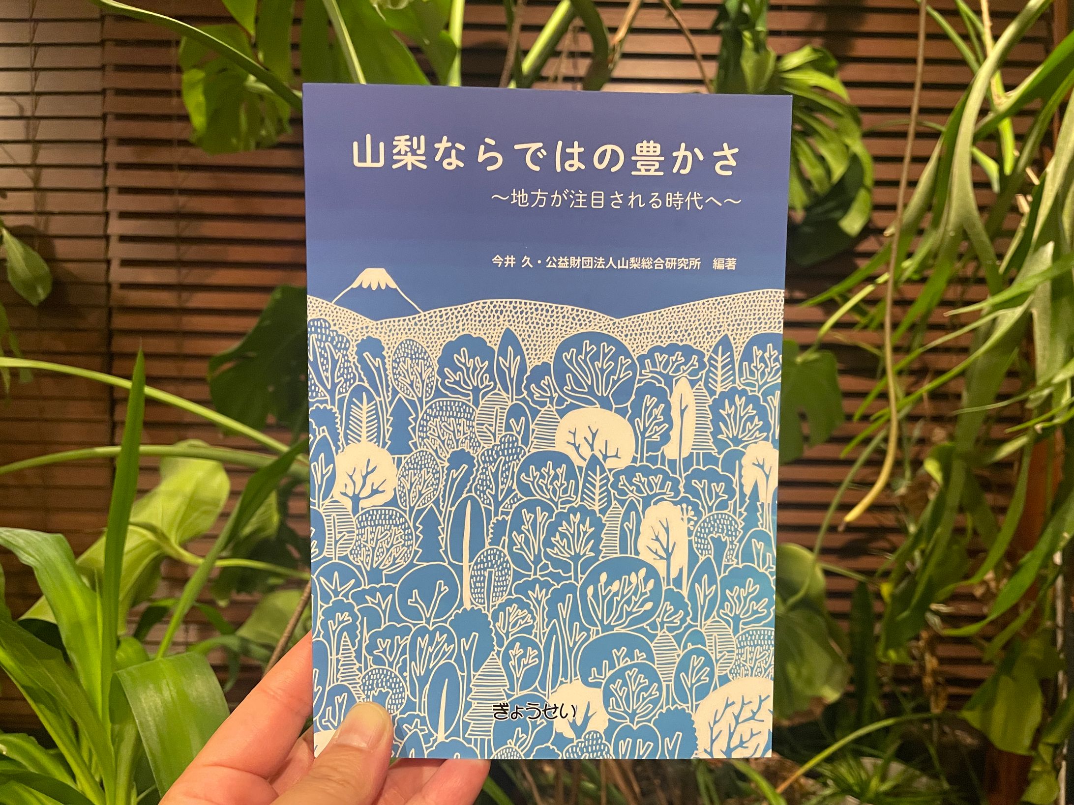 山梨ならではの豊かさ〜地方が注目される時代へ〜　表紙イラスト-1