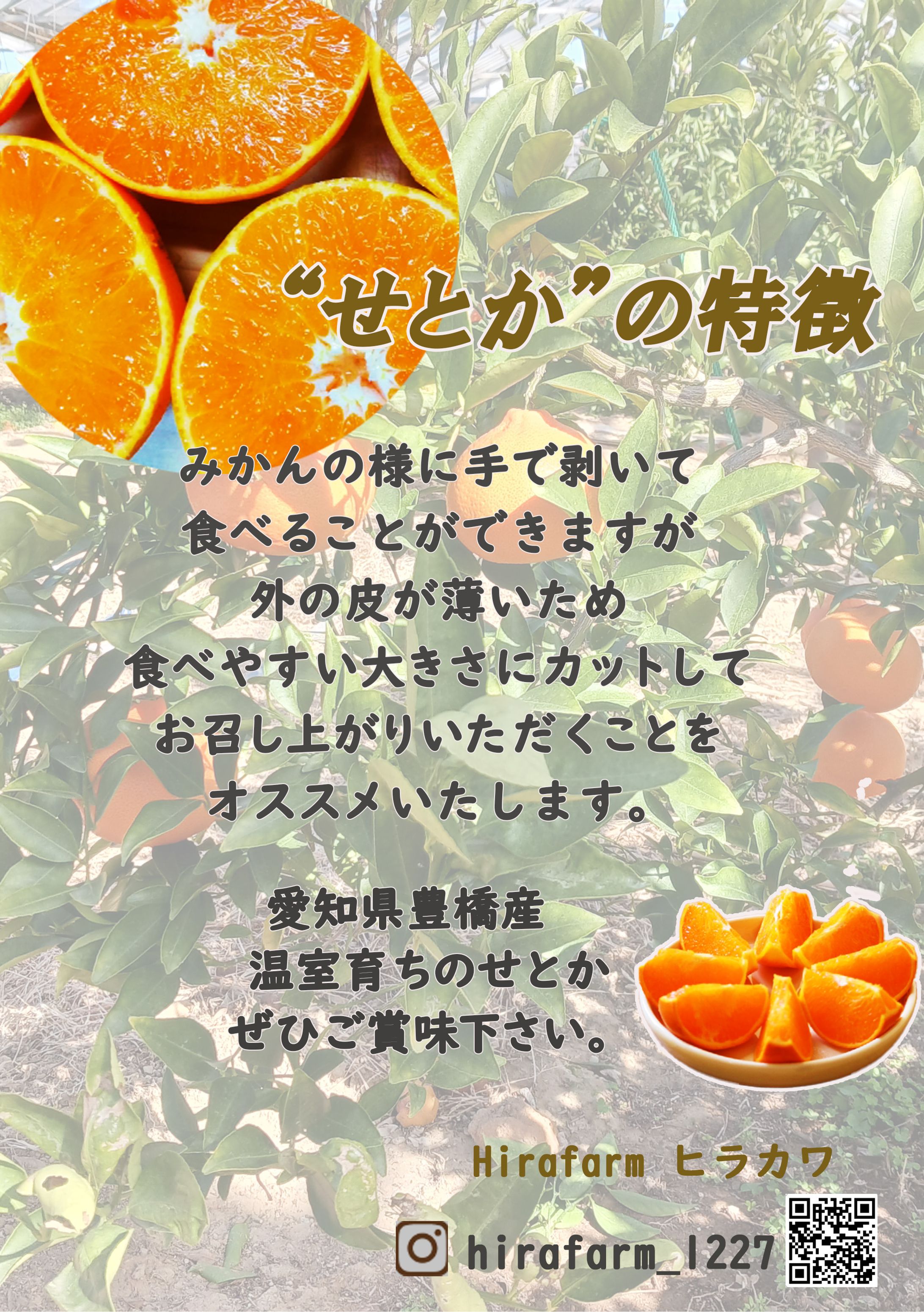 せとか　サンキューカード-1