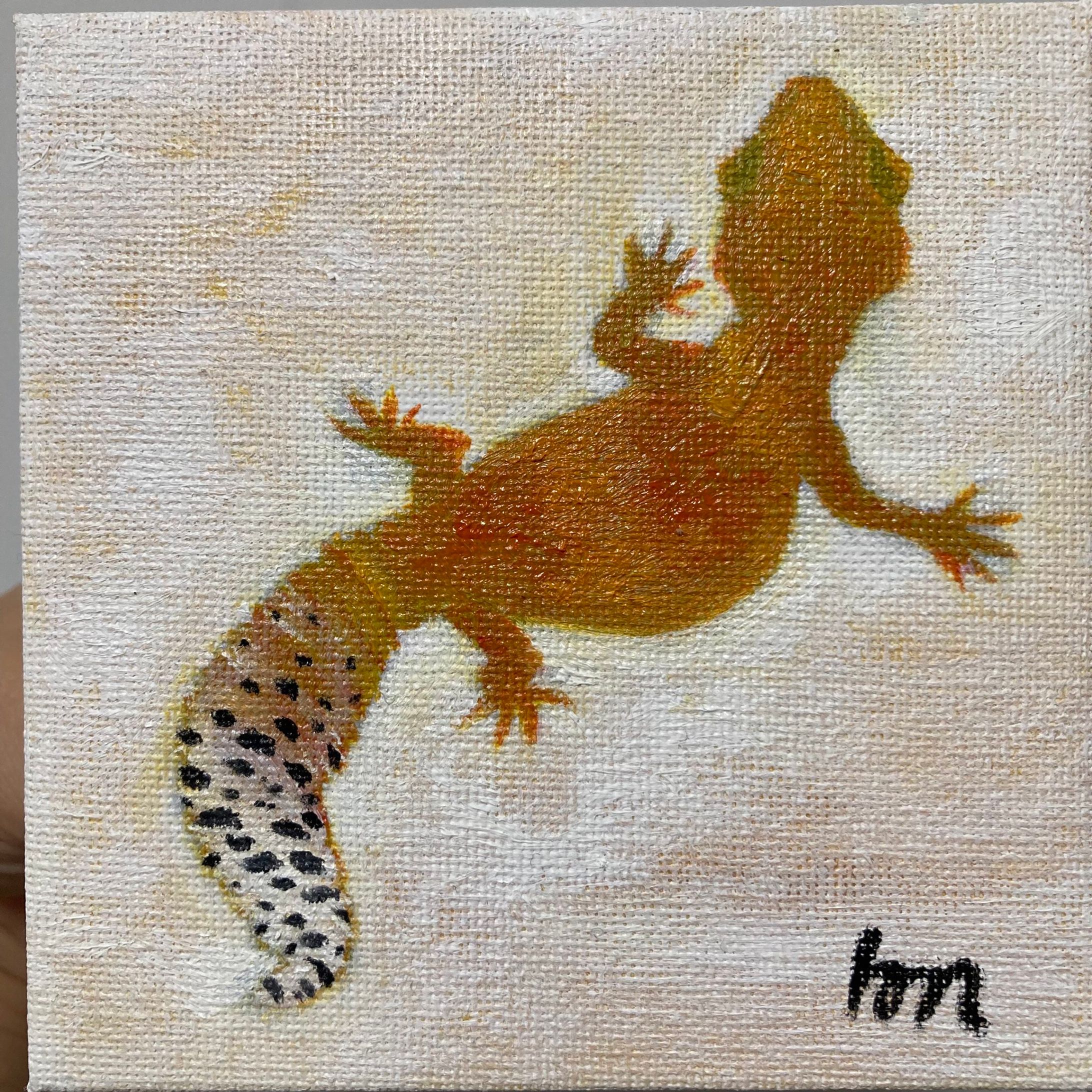 ヒョウモントカゲモドキ-1