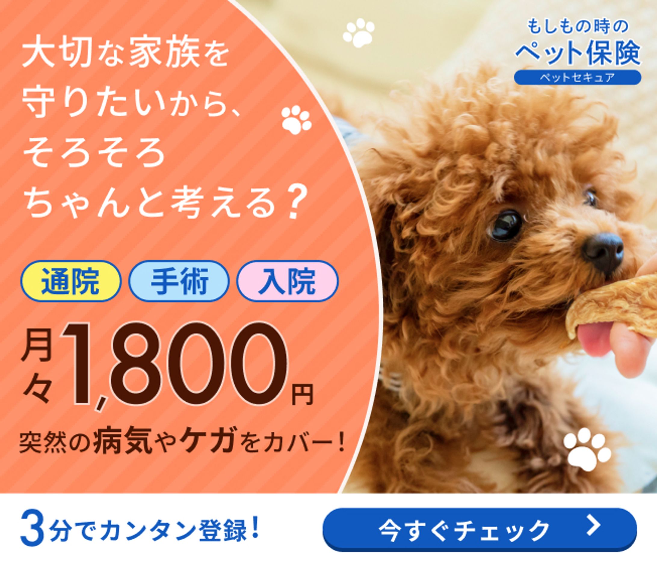 ペット保険バナー（架空）-1