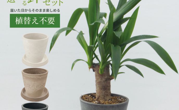 楽天市場（商品ページ制作）