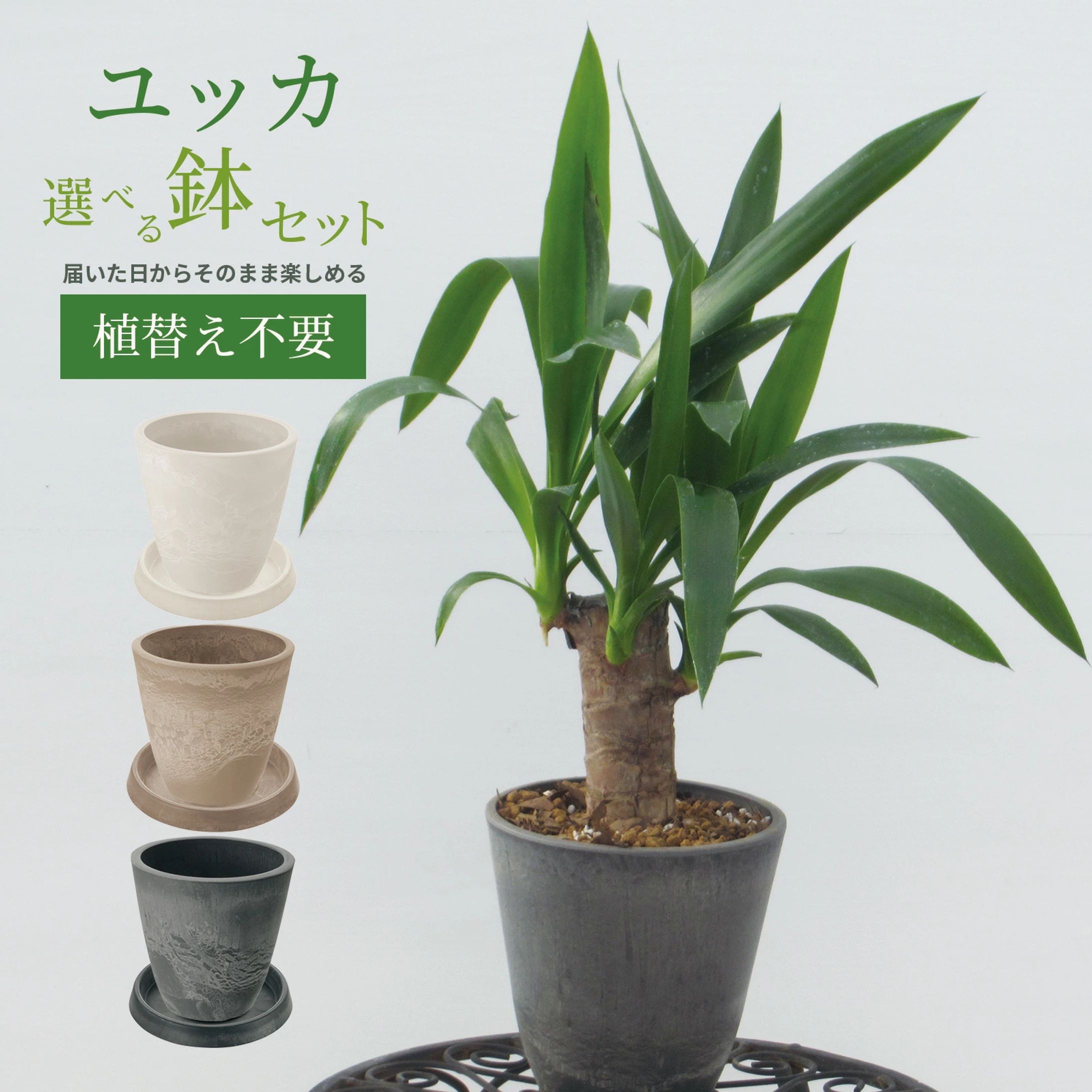 楽天市場（商品ページ制作）-1