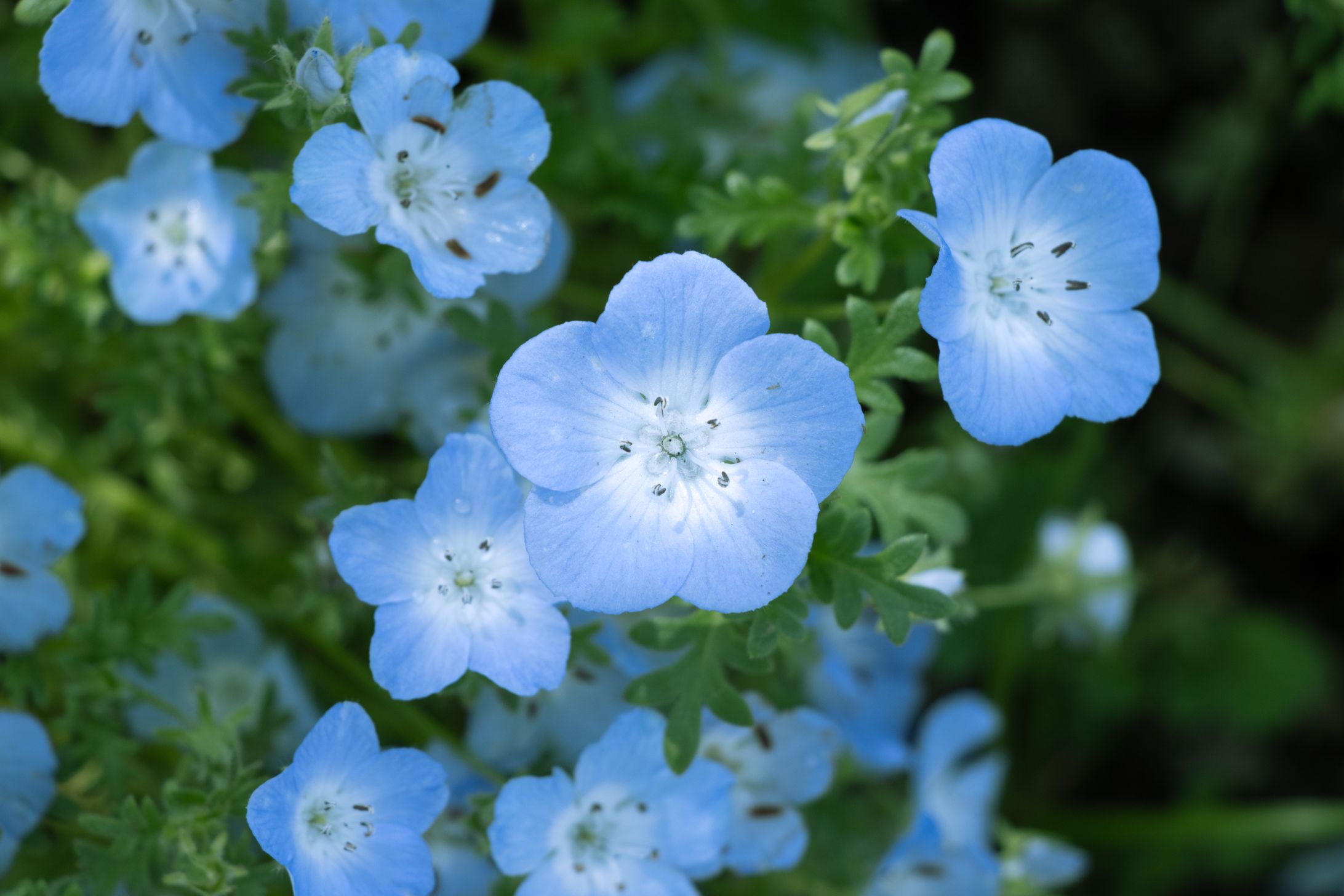 風景写真 作例-1