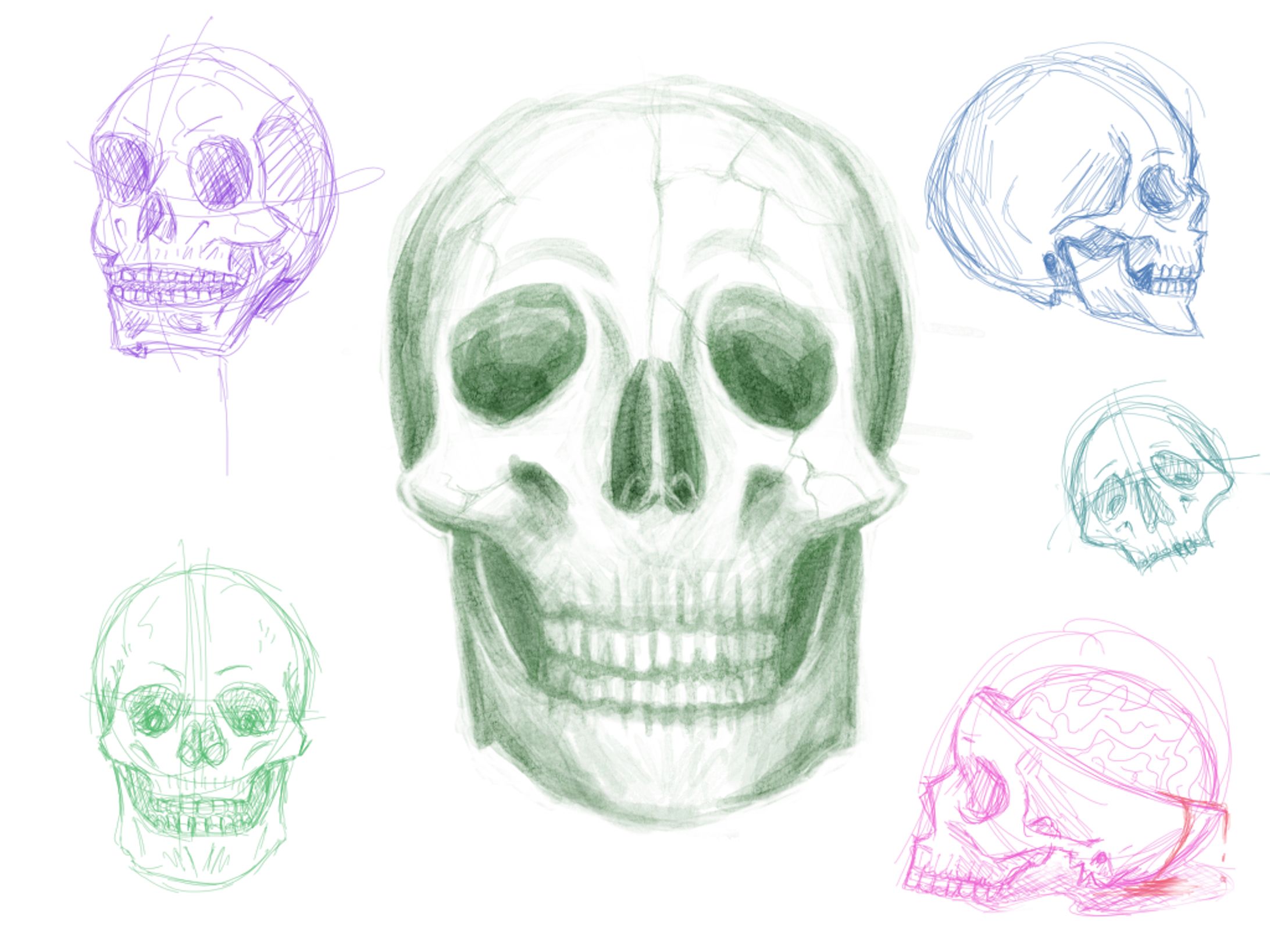 Skull Study-1