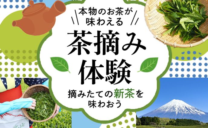バナー：茶摘体験
