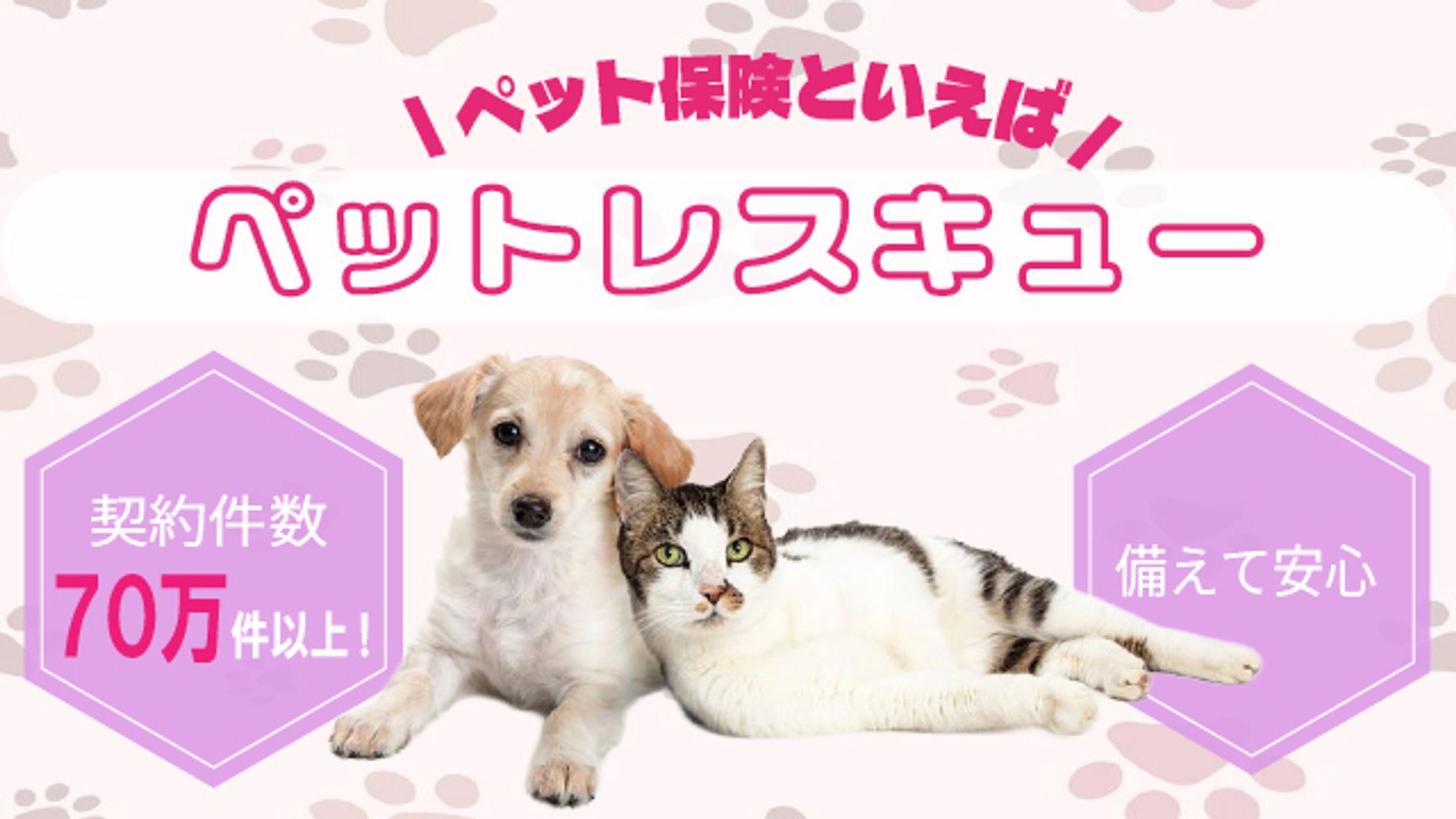 ペット保険バナー（架空バナー640×360）-1