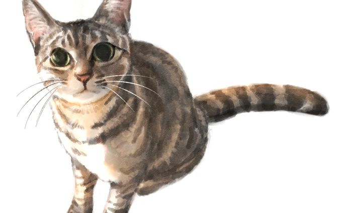 うちの猫イラスト2