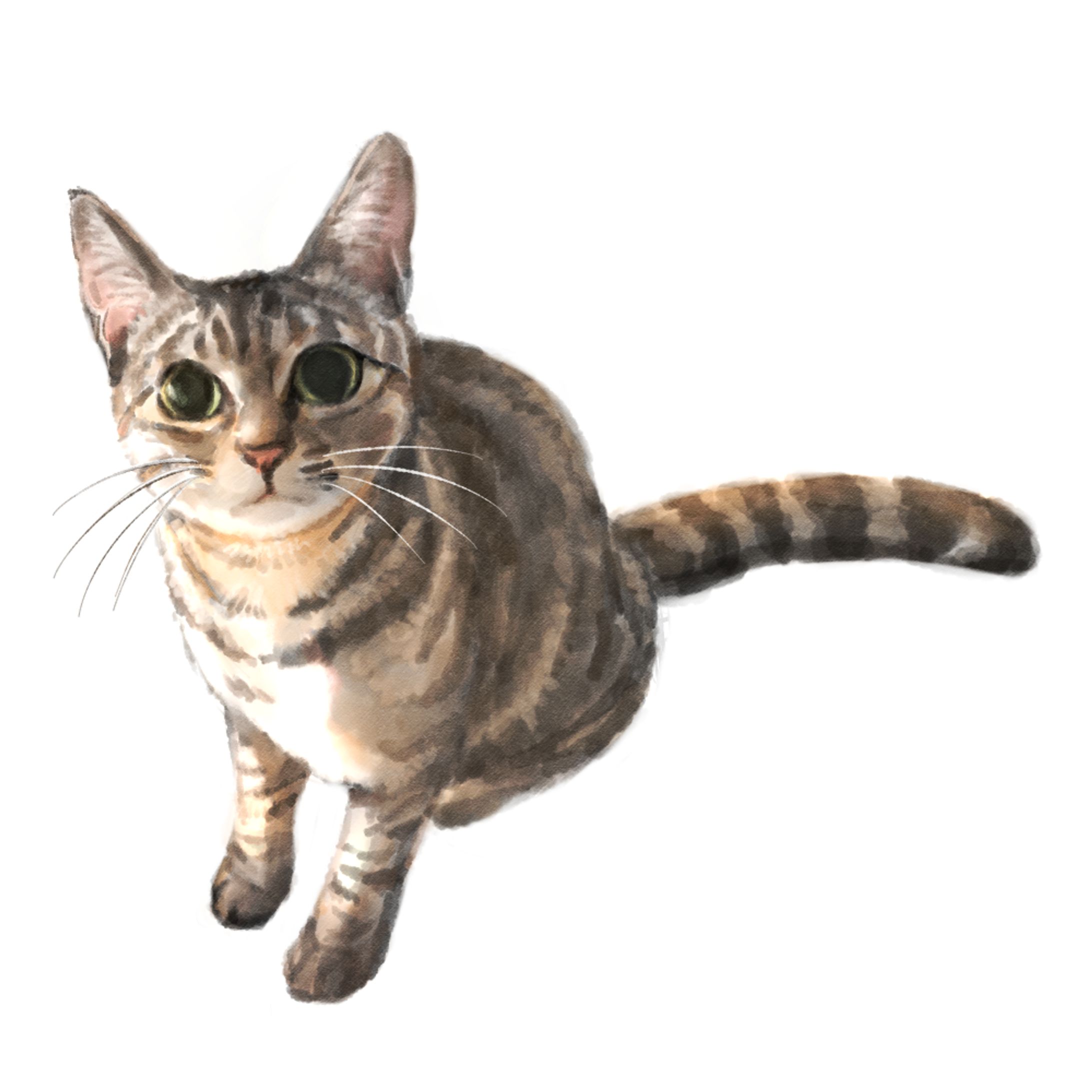 うちの猫イラスト2-1