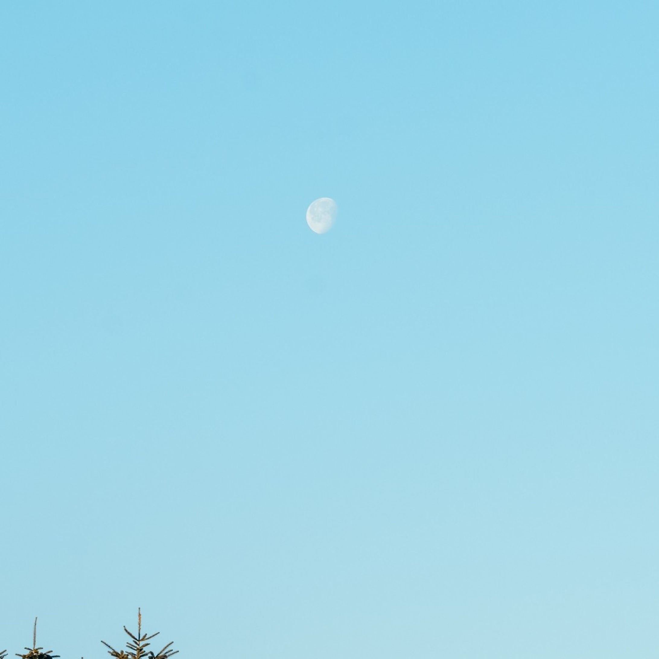 ⠀
【 北海道・上川町での移住生活日記 🏷最終回 】

GENICの企画で、上川町の暮らしを綴っていきます❄️
⠀
〰
⠀
1月からお届けしてきた上川暮らしも、今回で最終回です。

最初は友人もいなくて、どんな生活が待っているのか想像もつきませんでした（到着から2週間は隔離生活でしたし🤣）。もしかしたら途中で東京に帰りたくなるかもしれないとさえ思っていました。

でも、東京に戻る日が近づくほど、「上川町にもっといたい」と寂しく思うくらい、最終的には上川という場所をすごく好きになっていました。

きれいな水と空気と雄大な景色に囲まれて、にぎやかで優しい人たちがいて、美味しいラーメン屋さんがあって、暮らしてるだけで自然と元気が出てくるような場所。

今後、私の拠点は東京に戻るのですが、「関係人口」という言葉もあるように、上川町の町民ではなくとも、上川のことを応援したり、良さを伝えられる存在であれたらなと思っています❄️

次はきっと、緑あふれる夏の上川町に会いにいきます！

⠀
#KAMIKAWORK
#genic_japan
#プチ移住
#北海道移住
⠀
#北海道
#上川町
#層雲峡

#kamikawalife #hokkaido #hokkaidosgram #ひみつの絶景北海道 #行き先は北海道 #홋카이도 #홋카이도여행 #hibi_jp #todays_blue_collection #冬の北海道 #北海道の冬 #tokyocameraclub #naturelovers-1