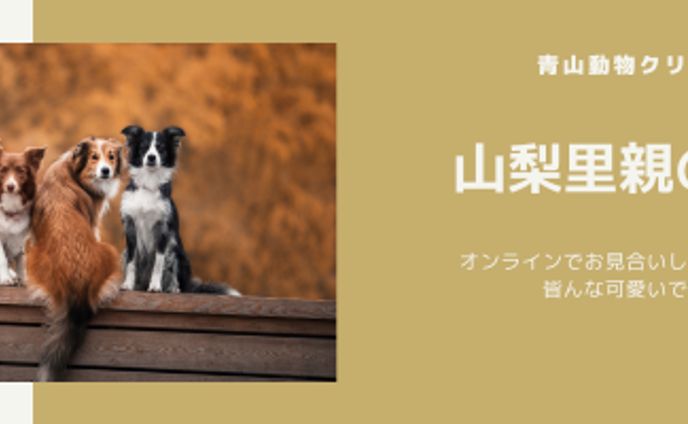 里親の会