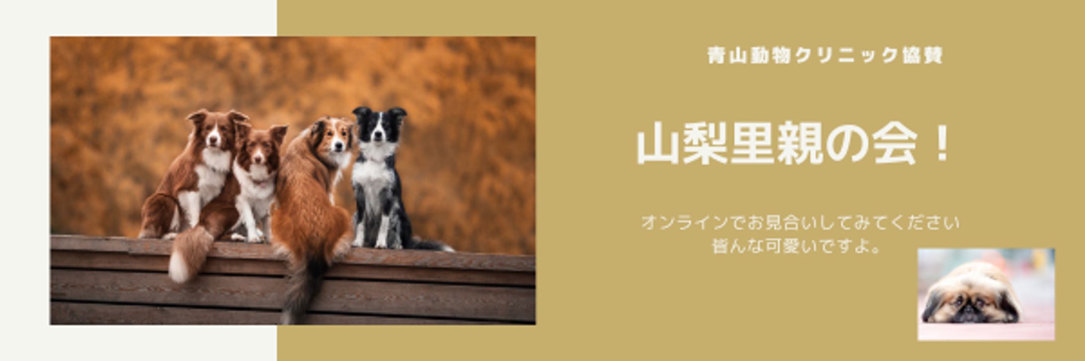 里親の会-1