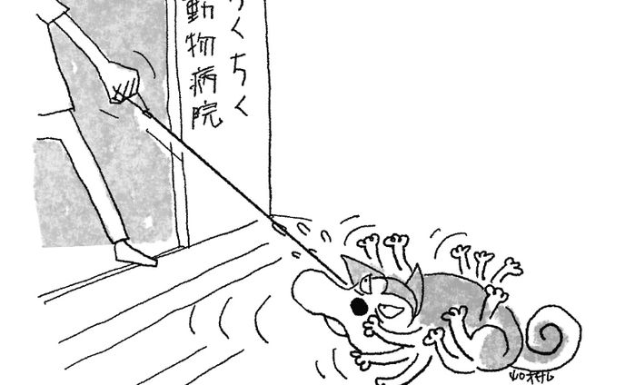 イヌのトラウマ