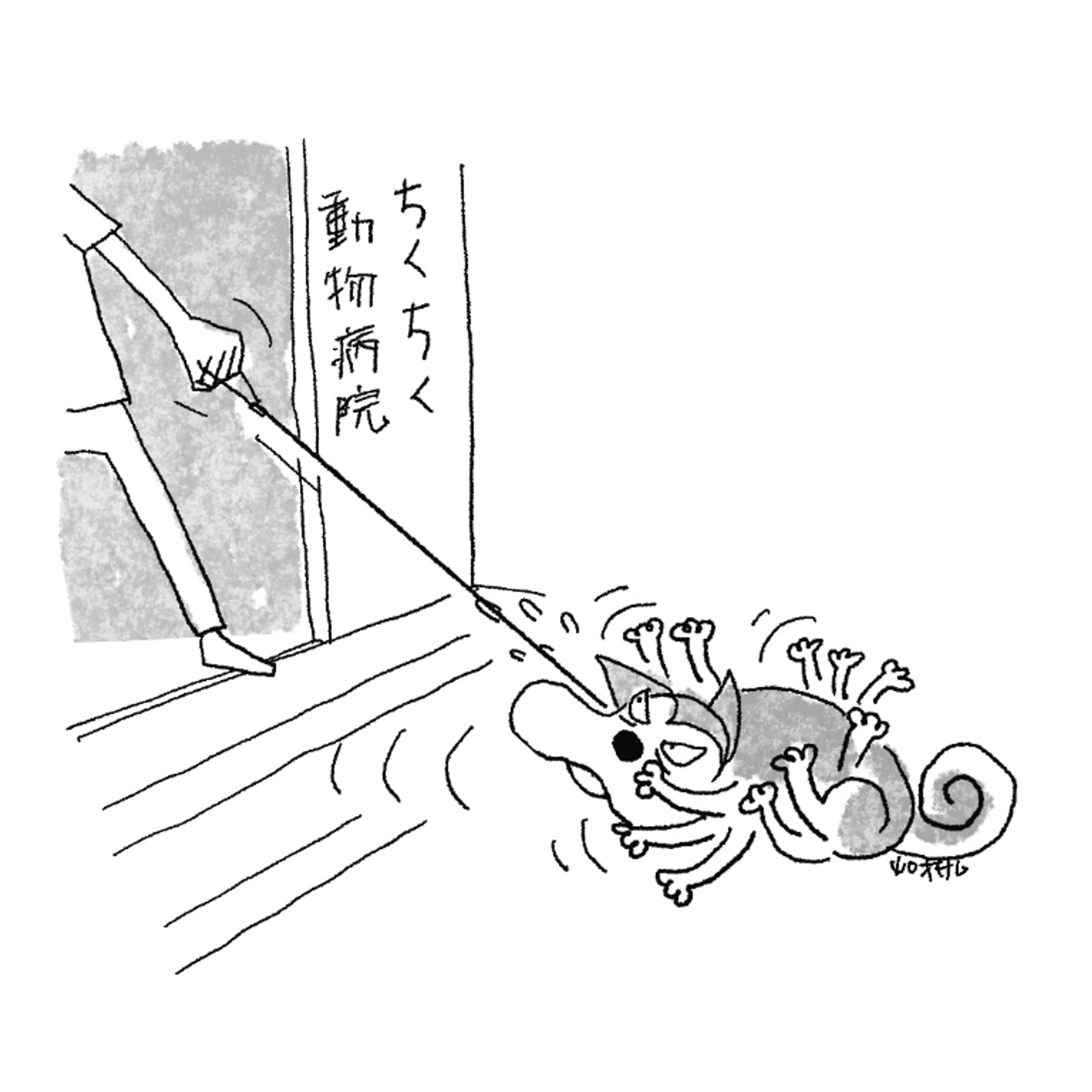 イヌのトラウマ-1