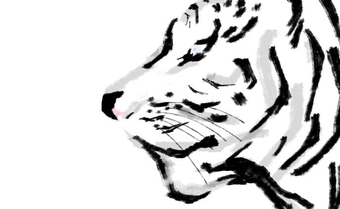 干支虎