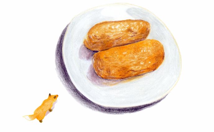 いなりときつね