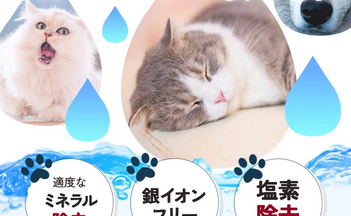 動物系、採用