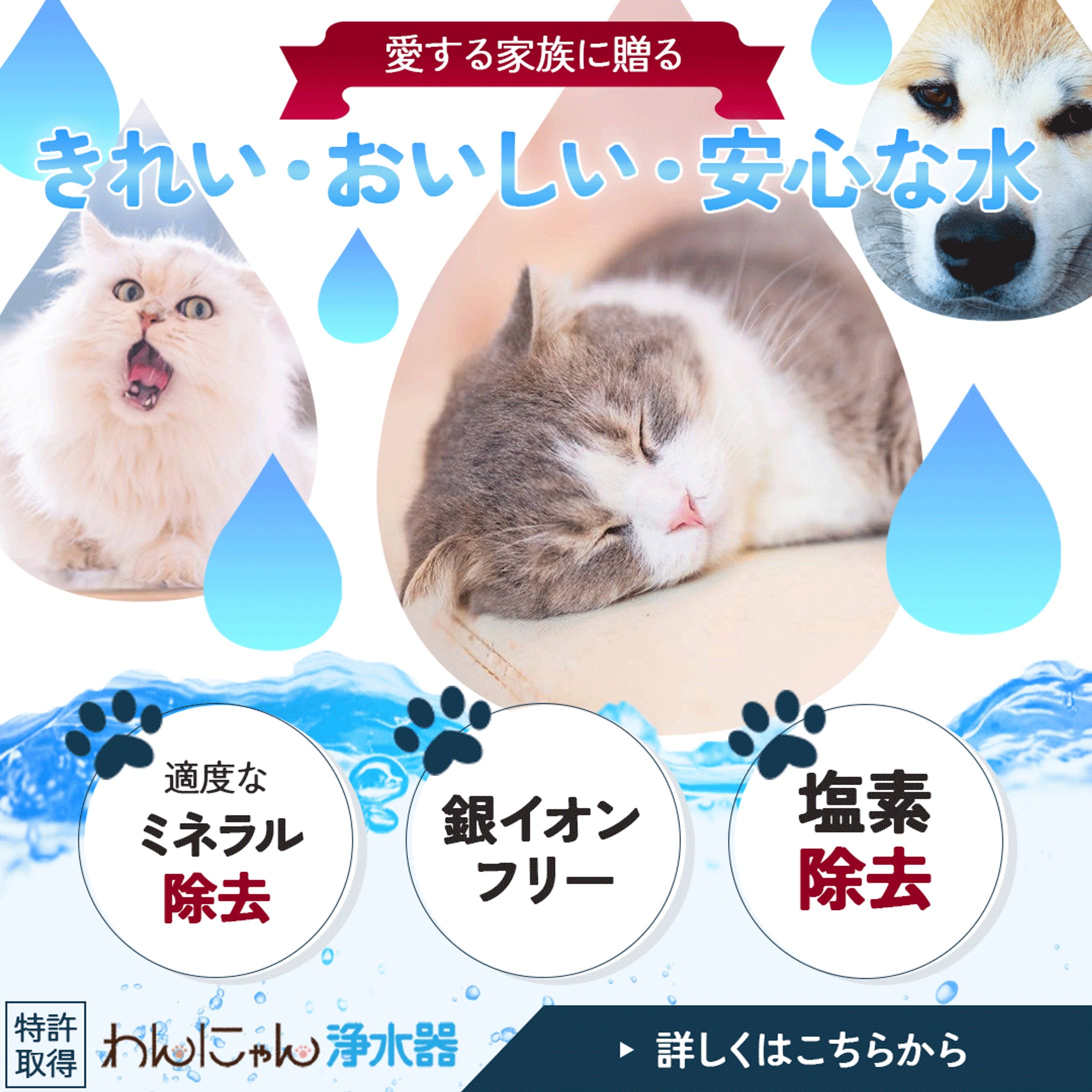 ペット用浄水器バナー-1