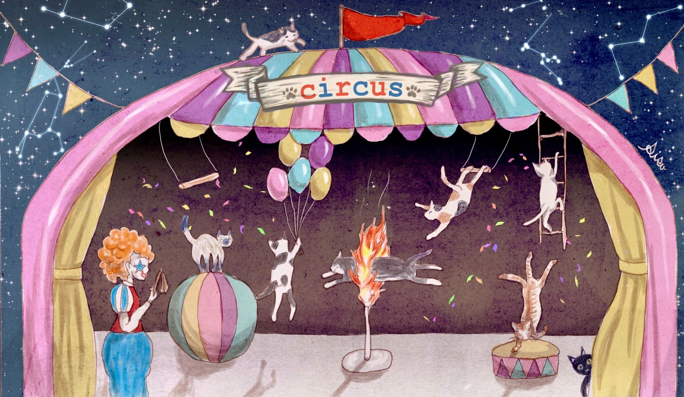 猫のサーカス練習中-1