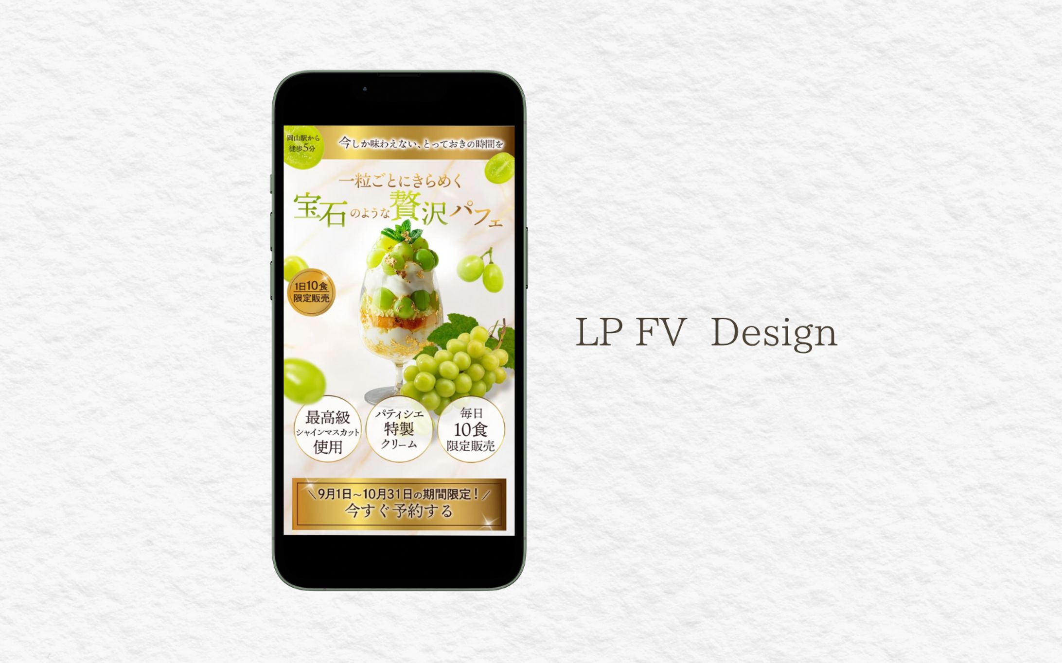 シャインマスマットLP FV-1