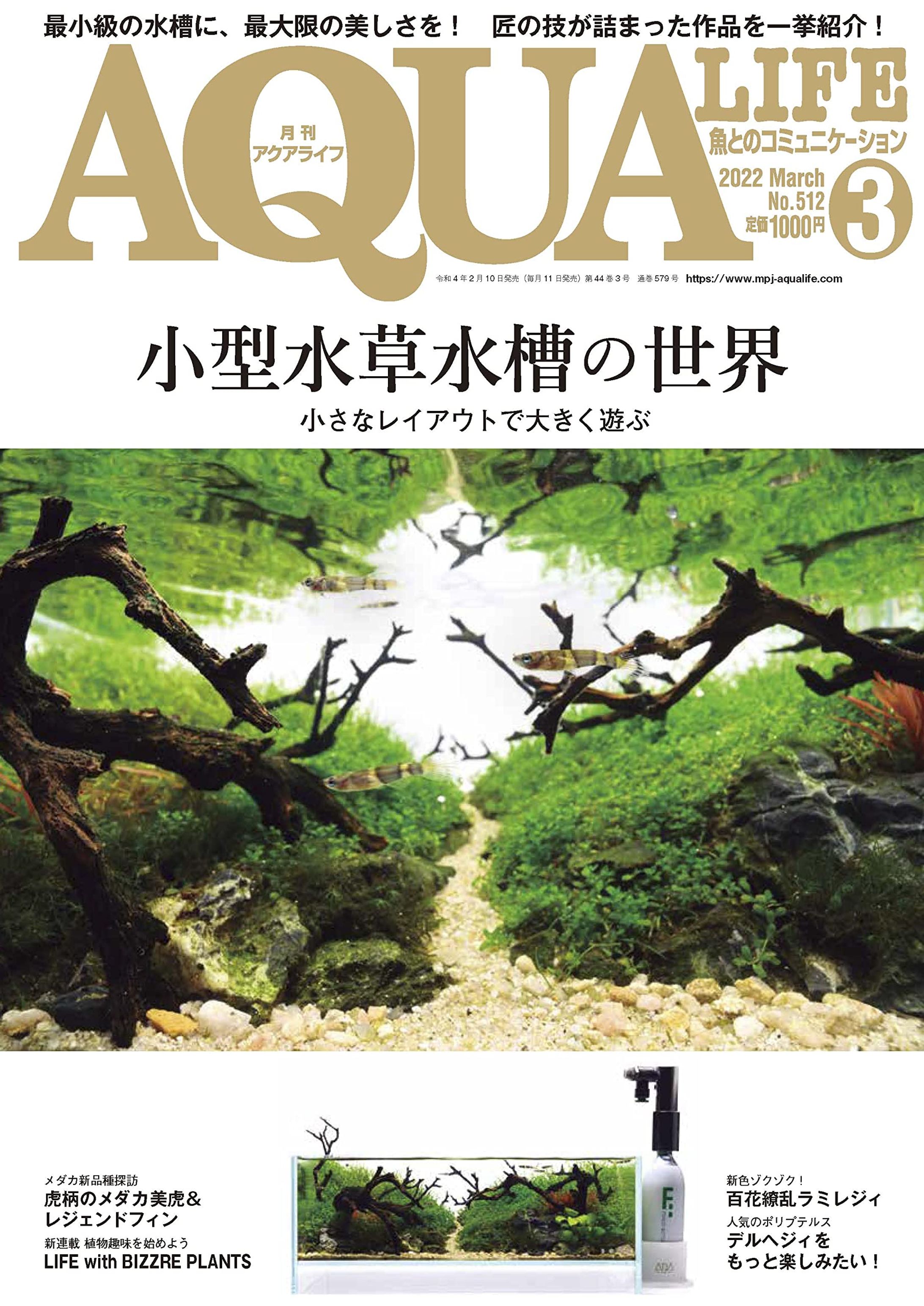 月刊アクアライフ 2022年3月号「LIFE with BIZZERE PLANTS」-1