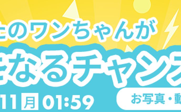 バナー、【応募作品】