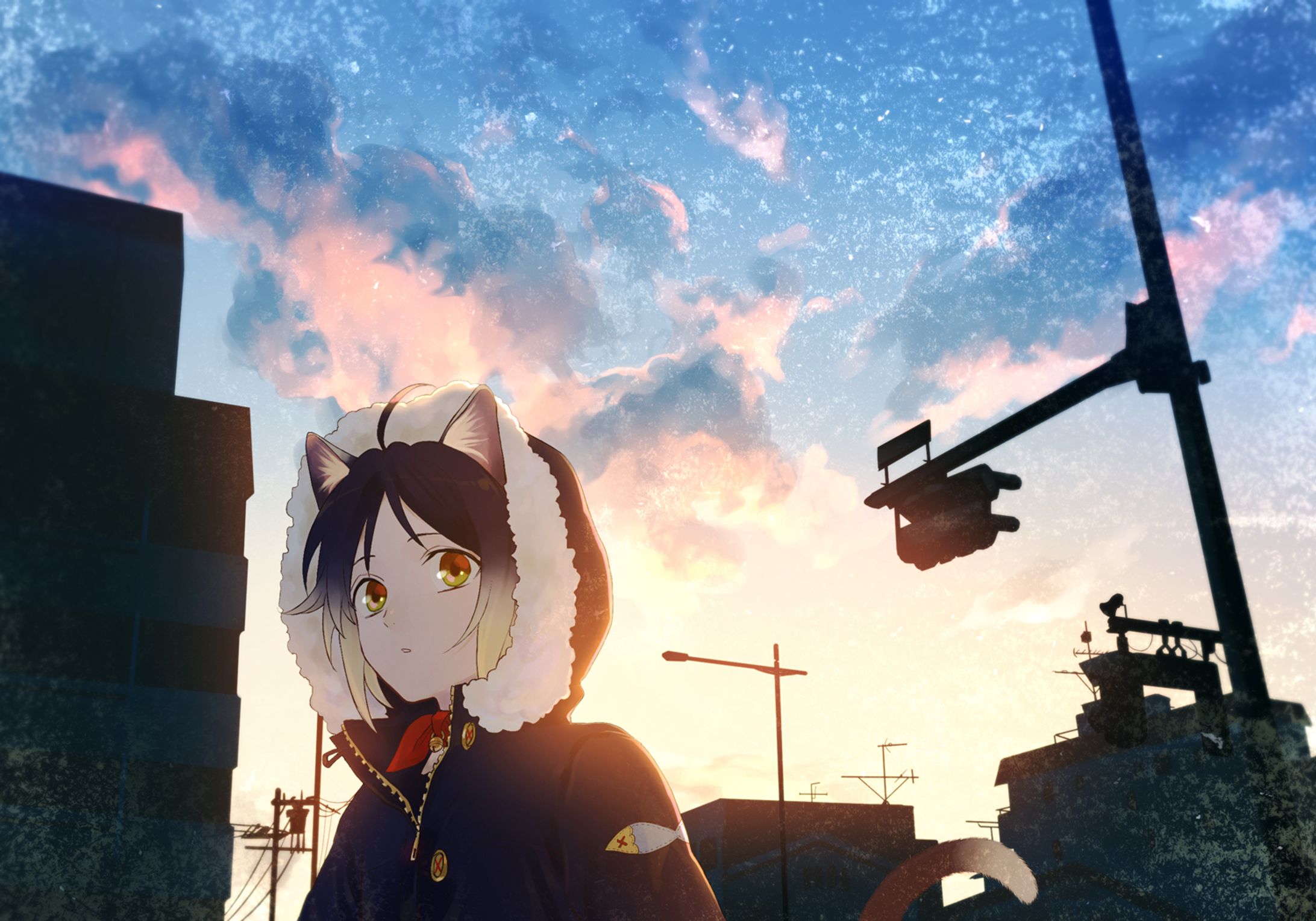 いろいろなねこ-1