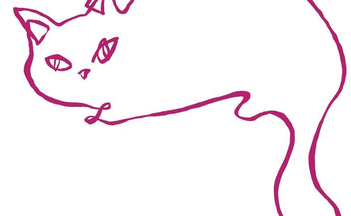 #猫 #ネコ #未来展望 #午後 #ピンク #カリグラフィー #ペット #しっぽ #イラスト #イラストレーター  #アート #猫イラスト #尾道 #カフェ #暮らし #映画 #雑誌 #cat #anticipation #art #illustration #animal  #cinema  #kitty #illustrator #cafe #cateye #kittycat #elliekubota