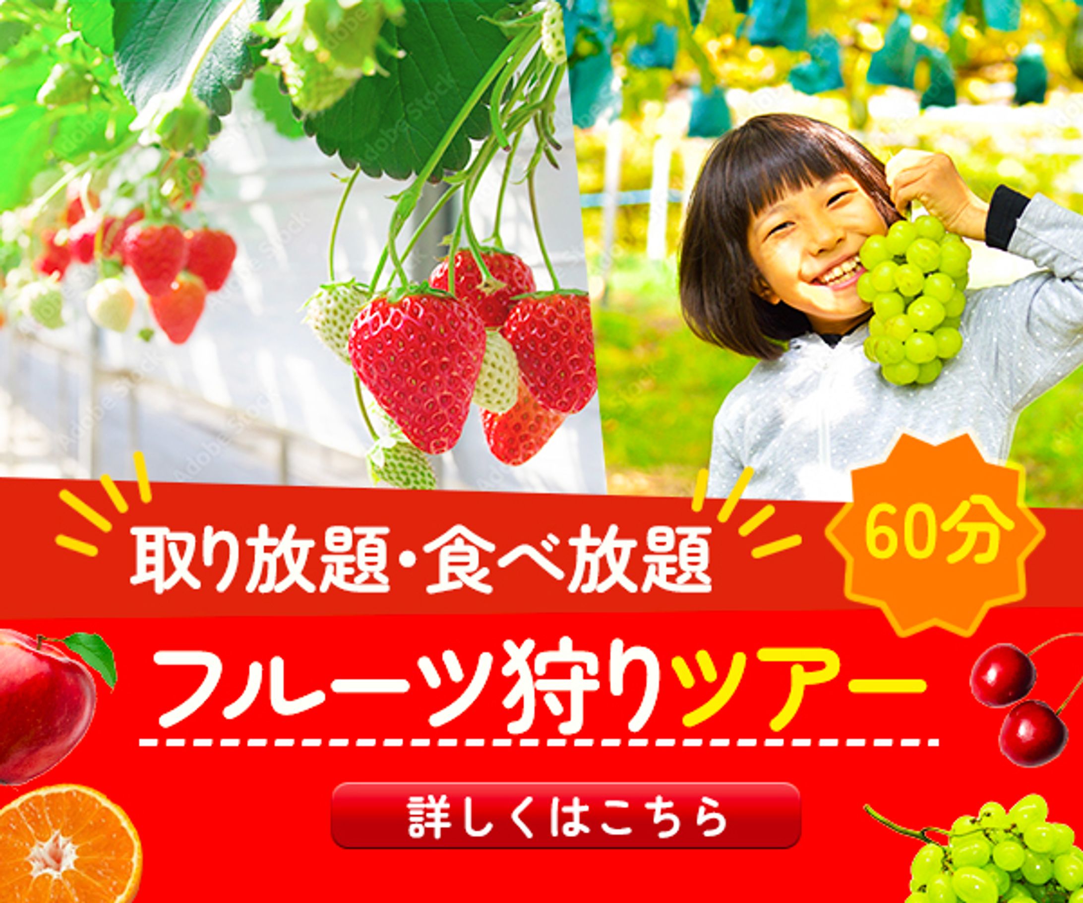 フルーツ狩り-1