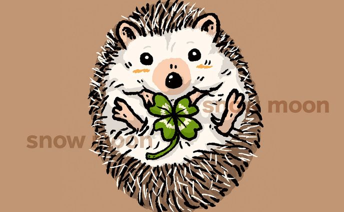 幸せ？ハリネズミさん