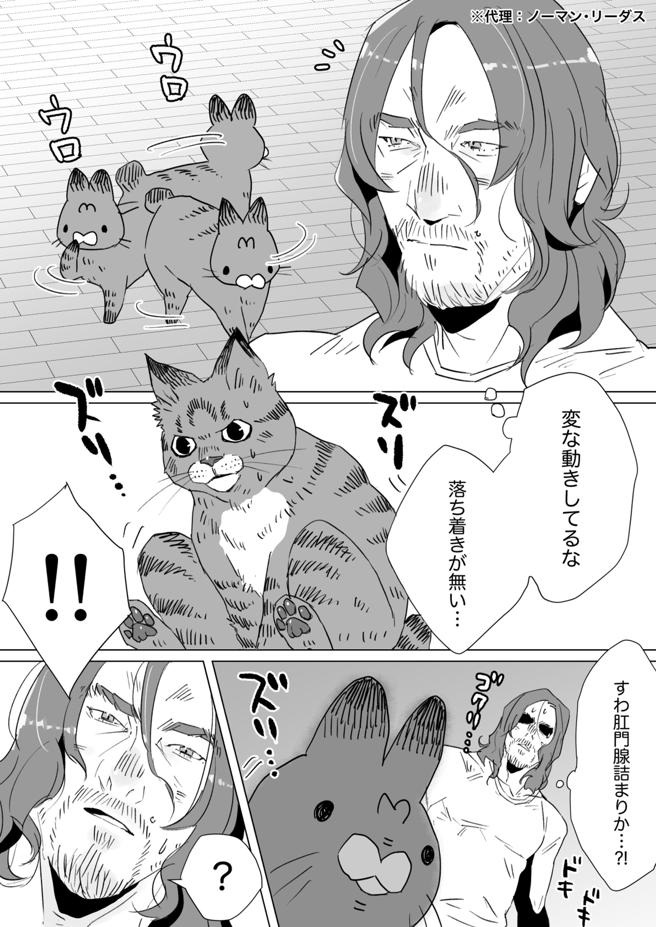 猫漫画-1
