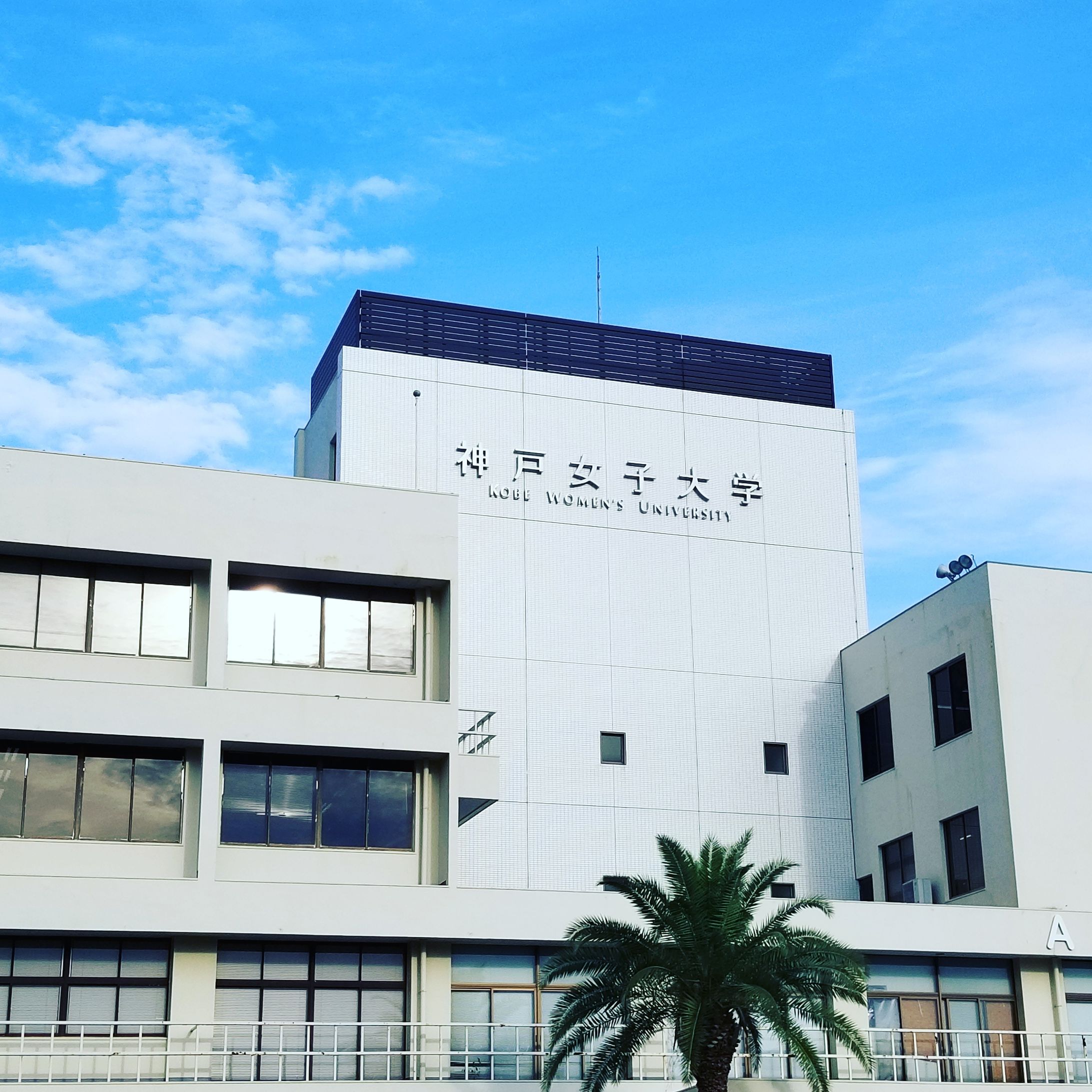 【教育・編集指導】 関西圏の女子大学ゲスト講師（半年×2期）｜「伝わる言語化」を軸にした冊子制作プロジェクト指導-1