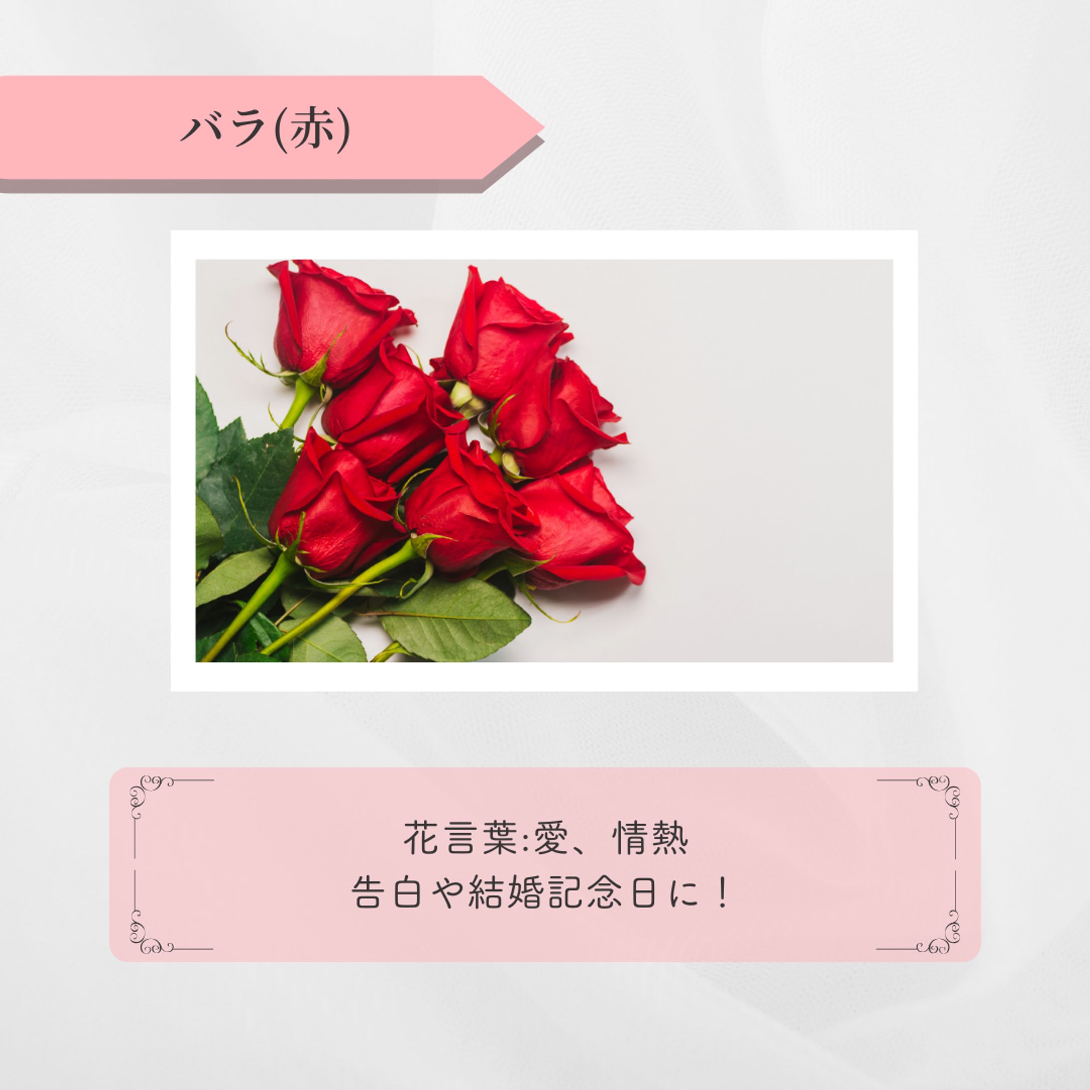 【制作実績】Instagramフィード投稿｜フラワーギフト-1