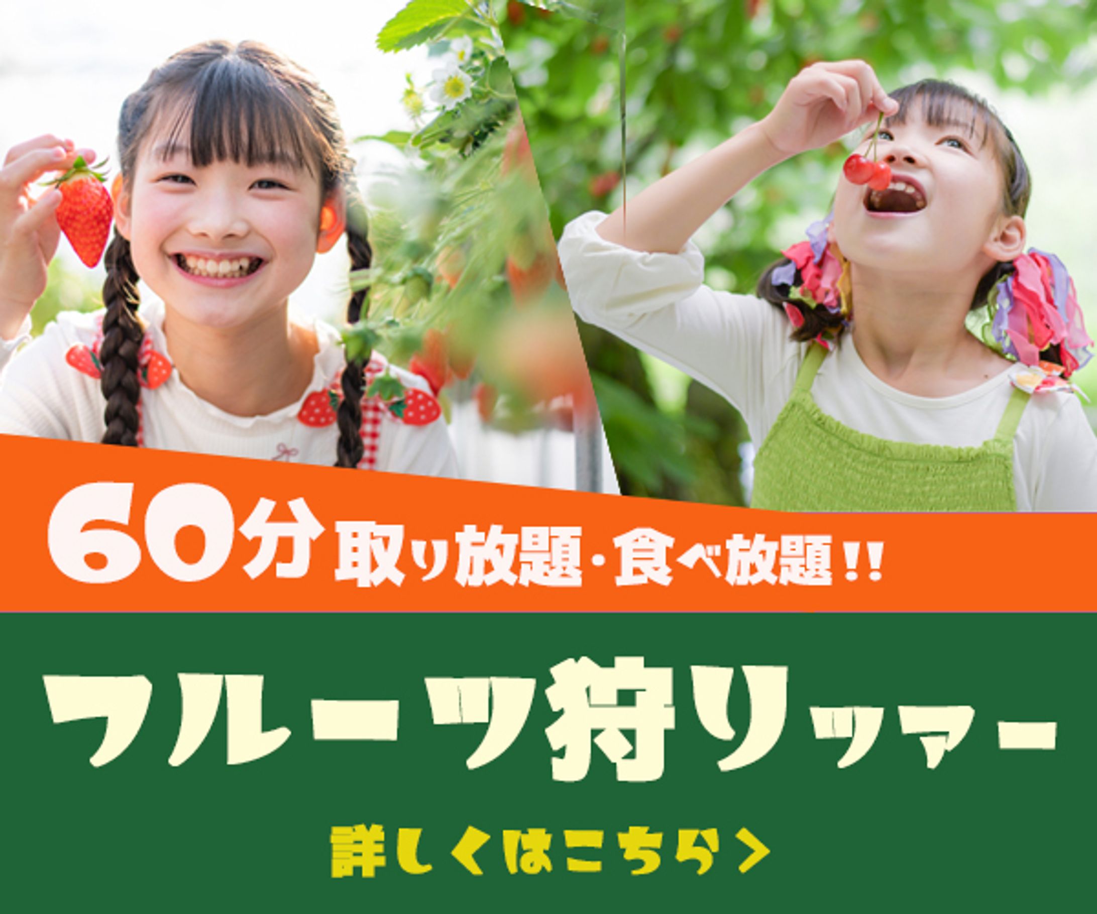 フルーツ狩りツアー-1