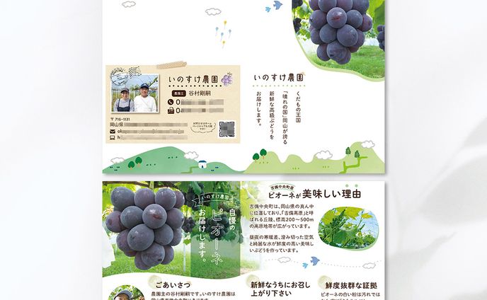 [works]ぶどう農園の商品に同封するリーフレット（B6サイズ仕上がり二つ折り）
