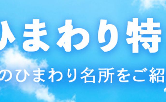 バナー：東京ひまわり特集