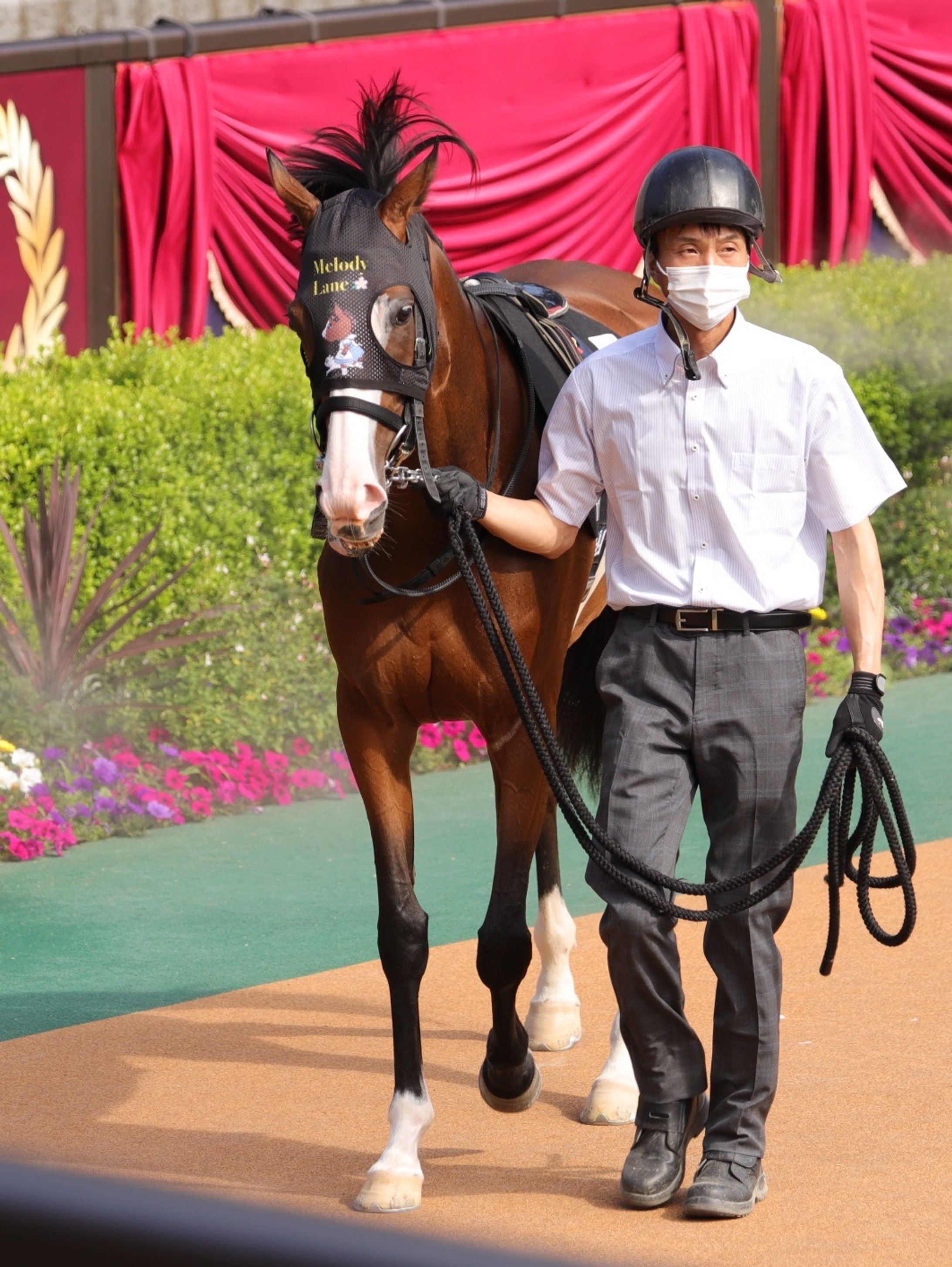 Melody Lane Paddock-1