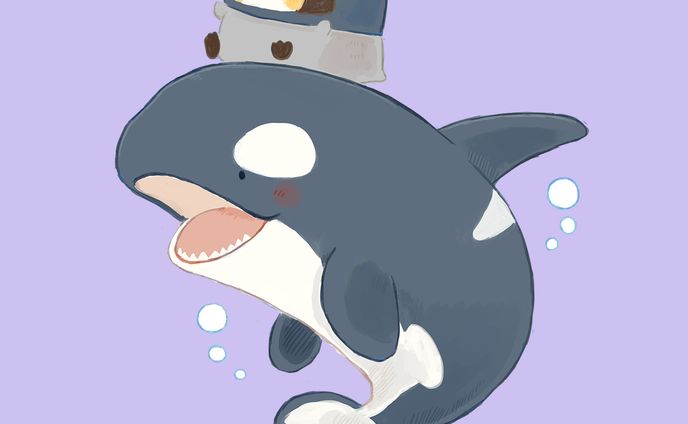 シャチ