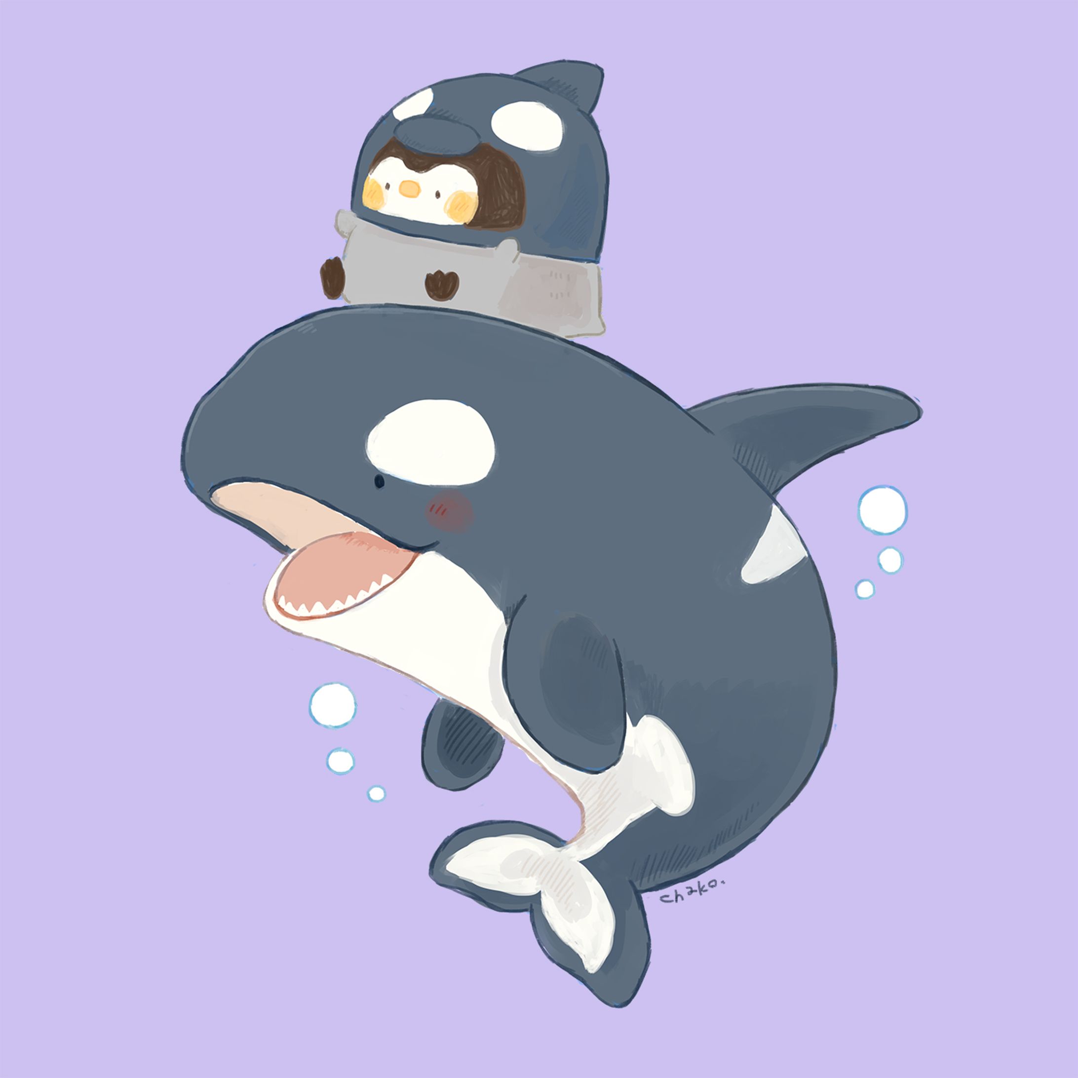 シャチ-1