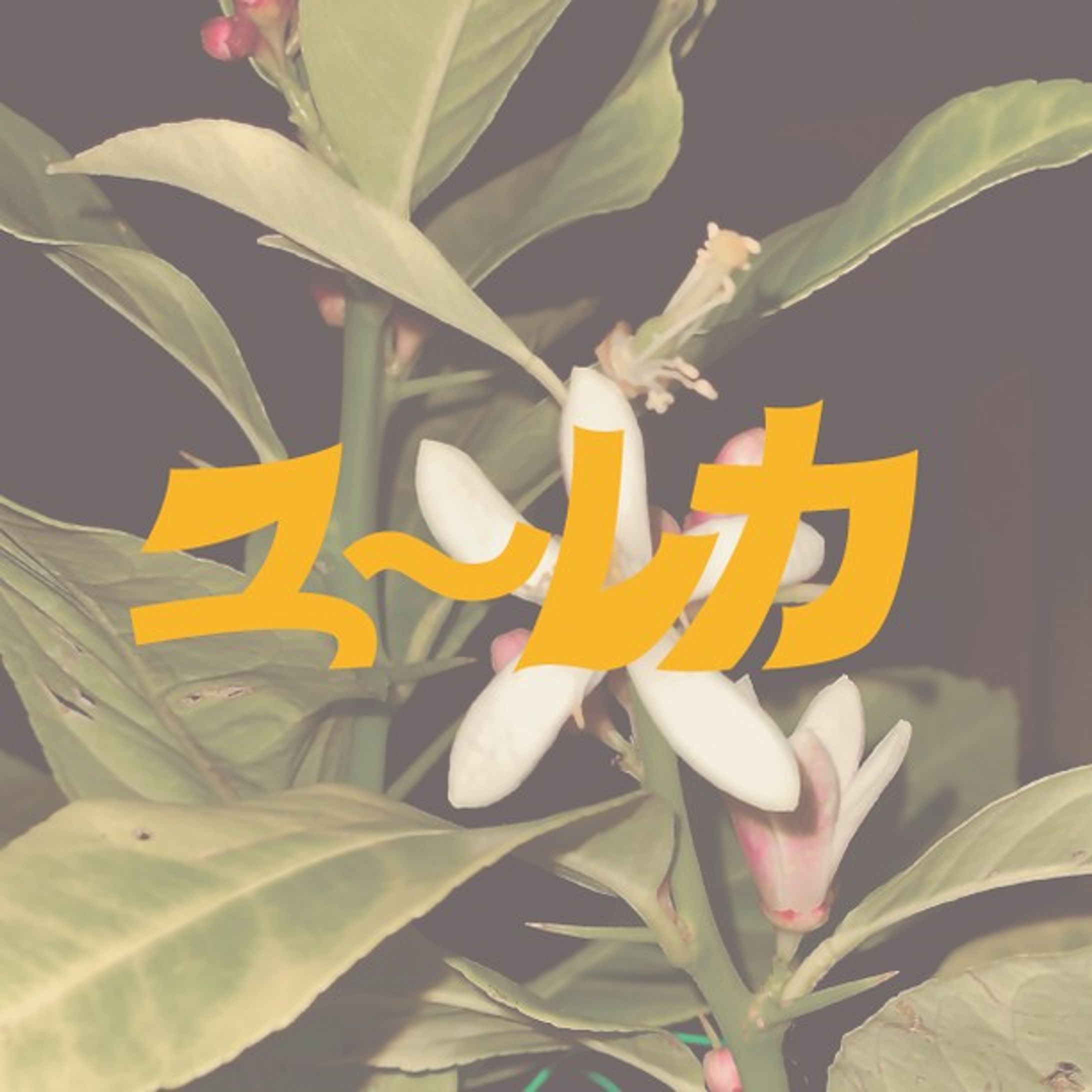 ユーレカ-1