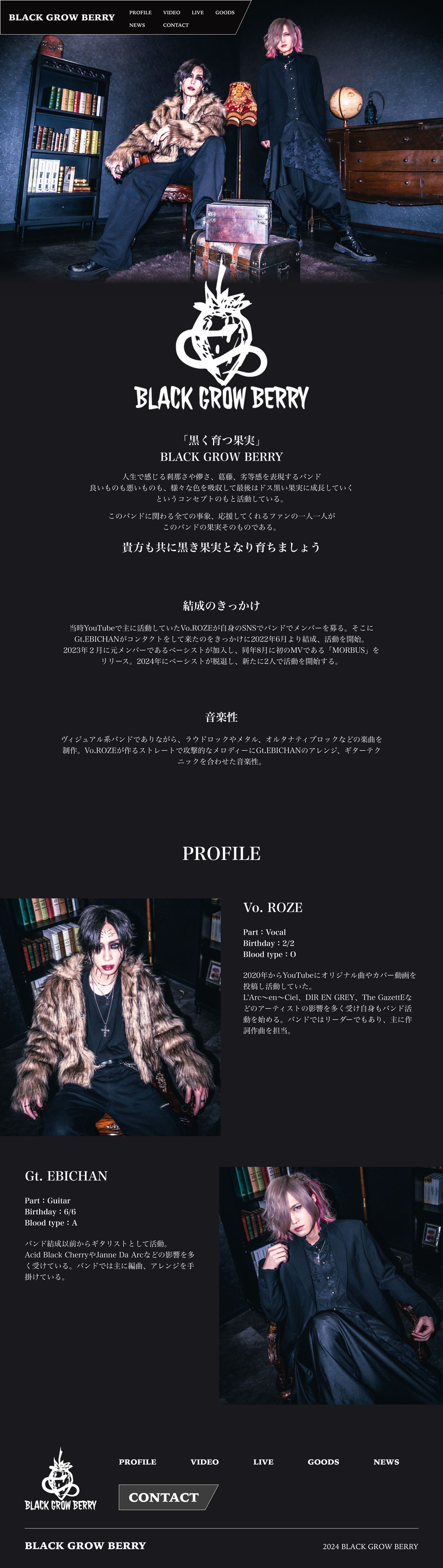 アーティストHP-1