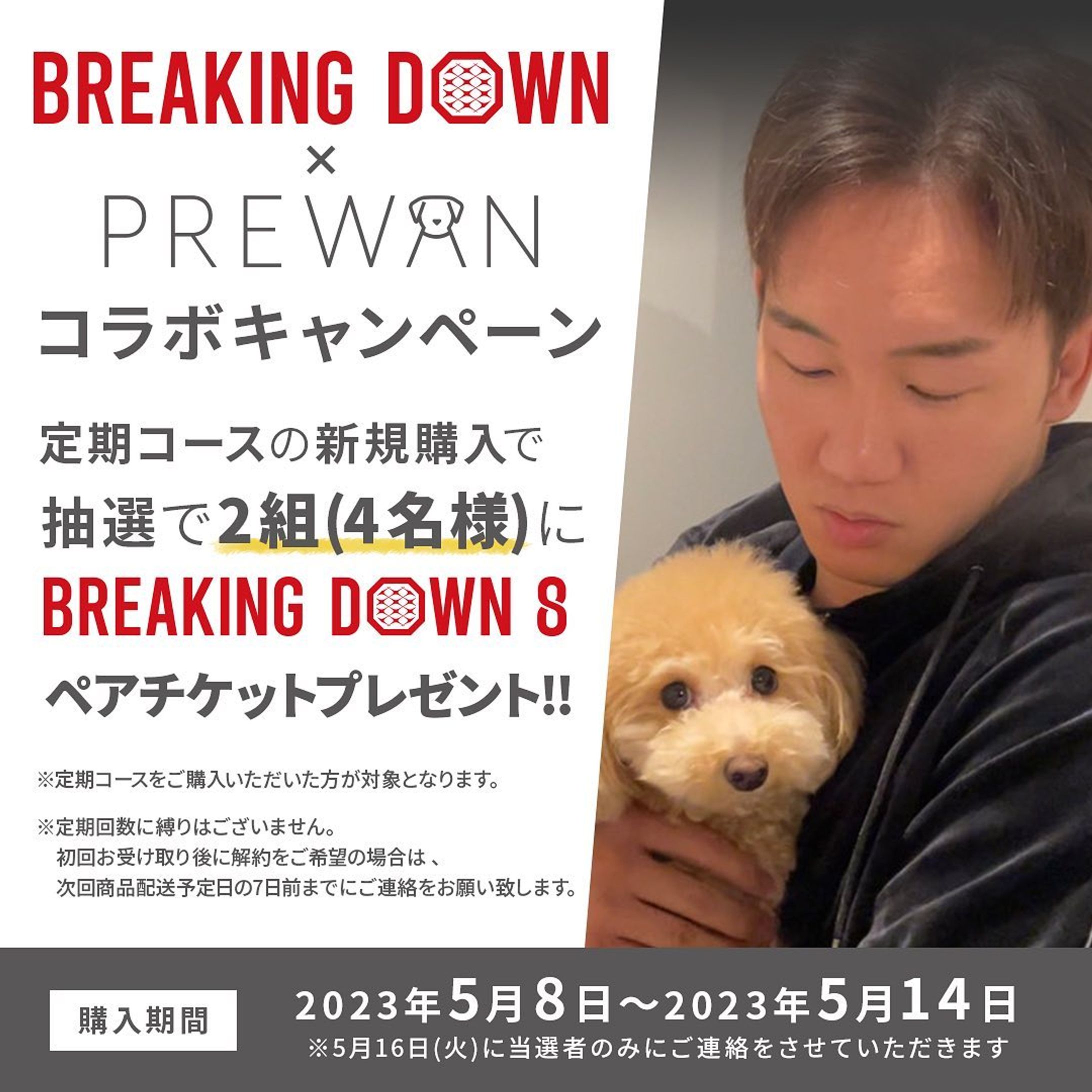 コラボキャンペーンバナー-1