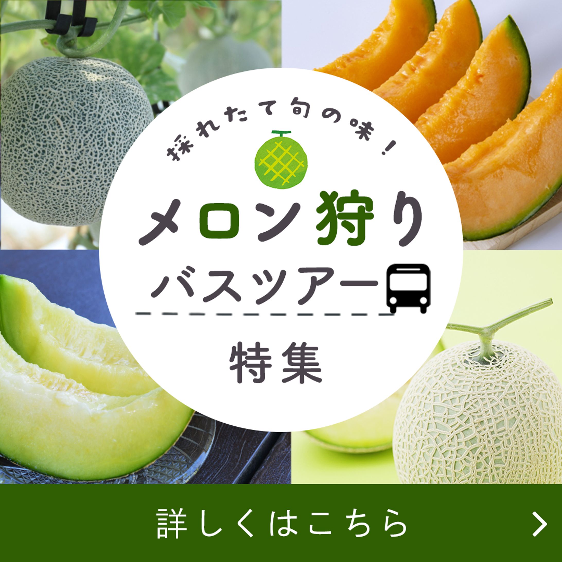 メロン狩りバスツアー特集バナー-1