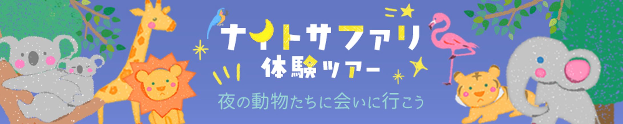 バナー：ナイトサファリ-1