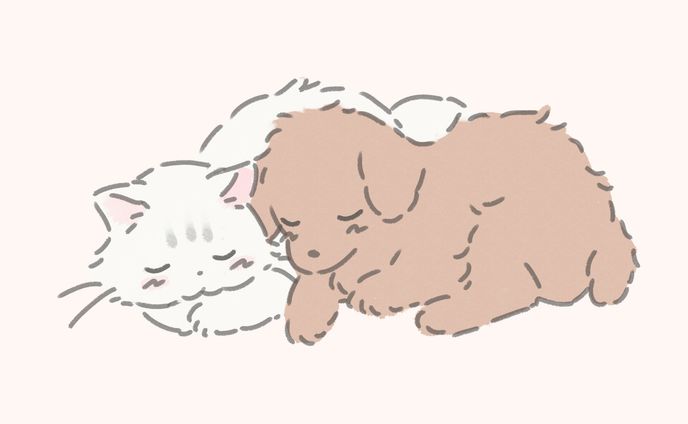 Skebリクエスト イラストレーション