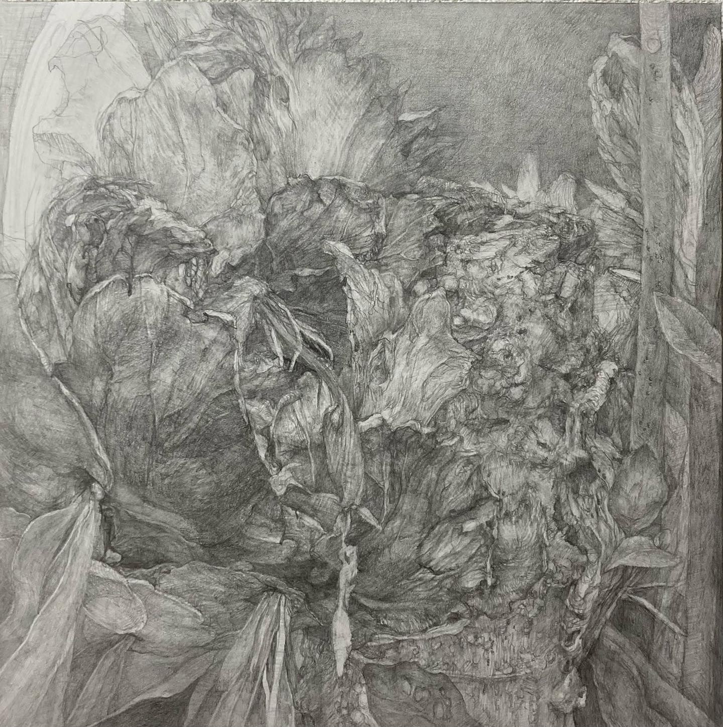 ネザーランドドワーフの墓