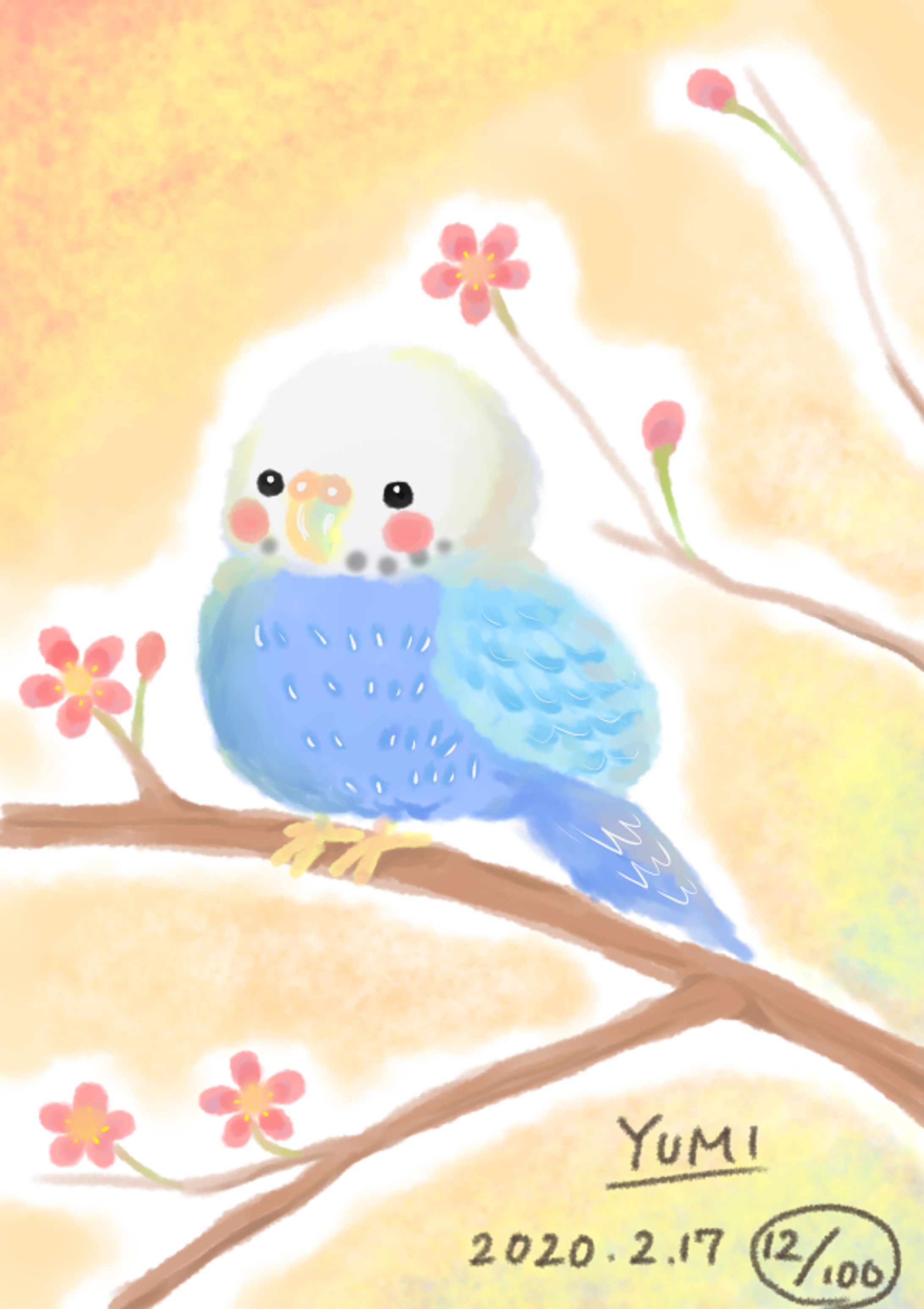 セキセイインコと春を告げる花-1