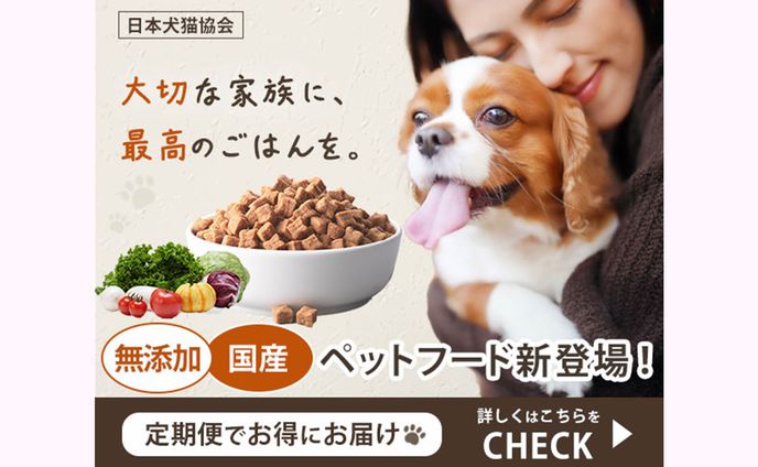【バナー】ペットフード新登場2